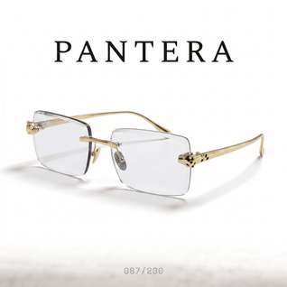 GAFAS PHANTERA - PHOTOCHROMIC