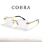 GAFAS COBRA PHOTOCHROMIC