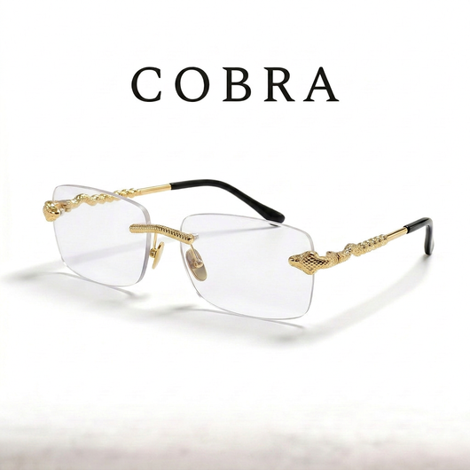GAFAS COBRA PHOTOCHROMIC